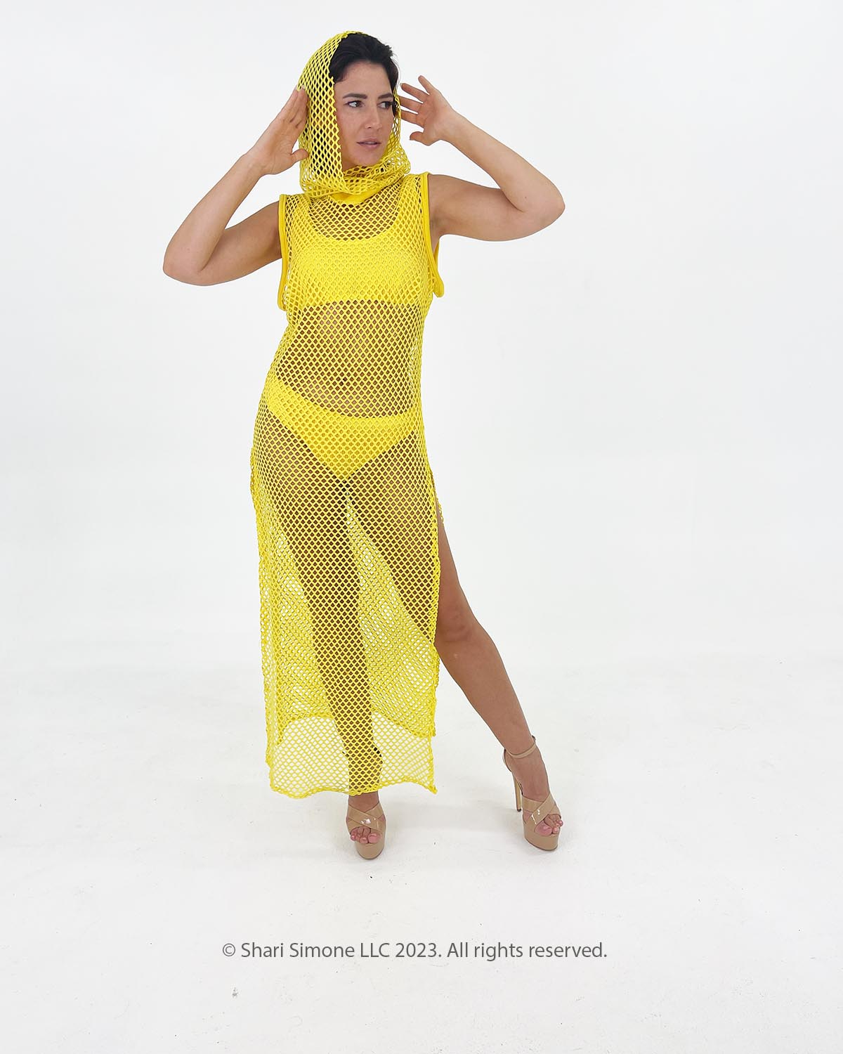 Solar Net Hooded Mesh Dress